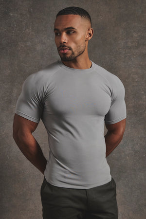 Athletic Fit Crew Neck T-Shirt in Grey - TAILORED ATHLETE - USA