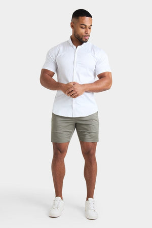Athletic Fit Chino Shorts 7'' in Sage - TAILORED ATHLETE - USA